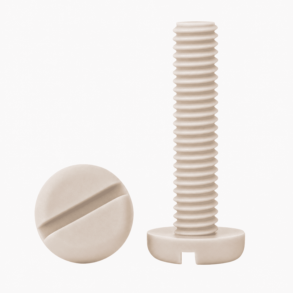 M4-0.70 x 30 mm Slotted Pan Head Machine Screws PEEK - 100pcs/pack